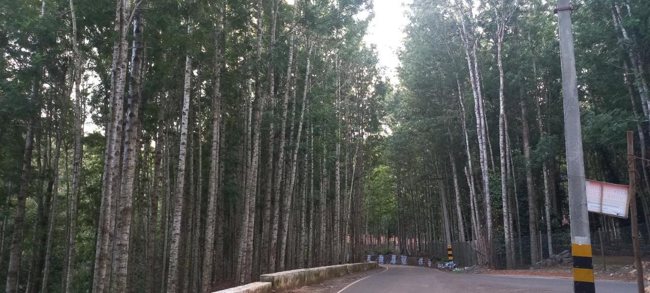 Istays - Loop Road, เยอร์โคด ภายนอก รูปภาพ