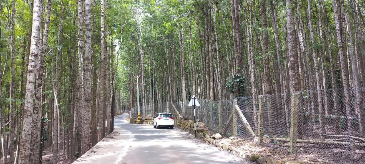 Istays - Loop Road, เยอร์โคด ภายนอก รูปภาพ